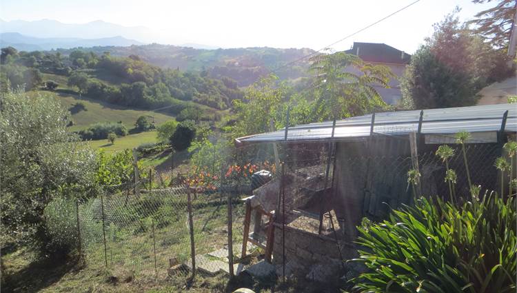 fruttuoso di terreno con piccolo magazzino