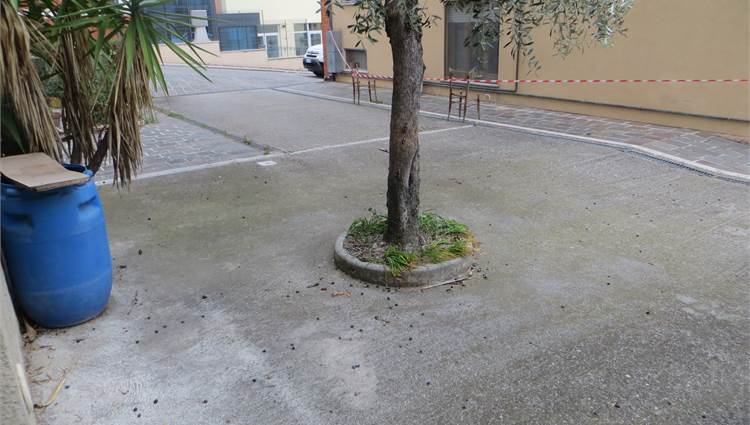 corte pertinenziale privata condivisa